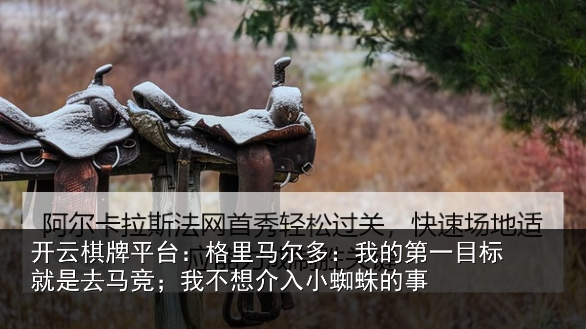 开云棋牌平台:格里马尔多:我的第一目标就是去马竞;我不想介入小蜘蛛的事