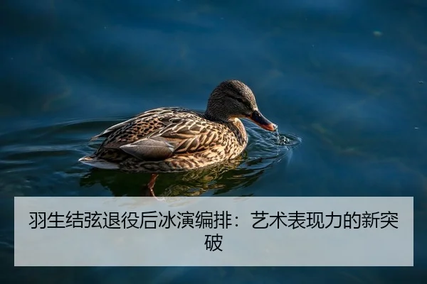 羽生结弦退役后冰演编排：艺术表现力的新突破