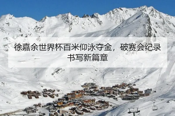 徐嘉余世界杯百米仰泳夺金，破赛会纪录书写新篇章