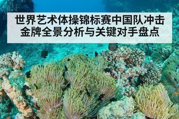 世界艺术体操锦标赛中国队冲击金牌全景分析与关键对手盘点